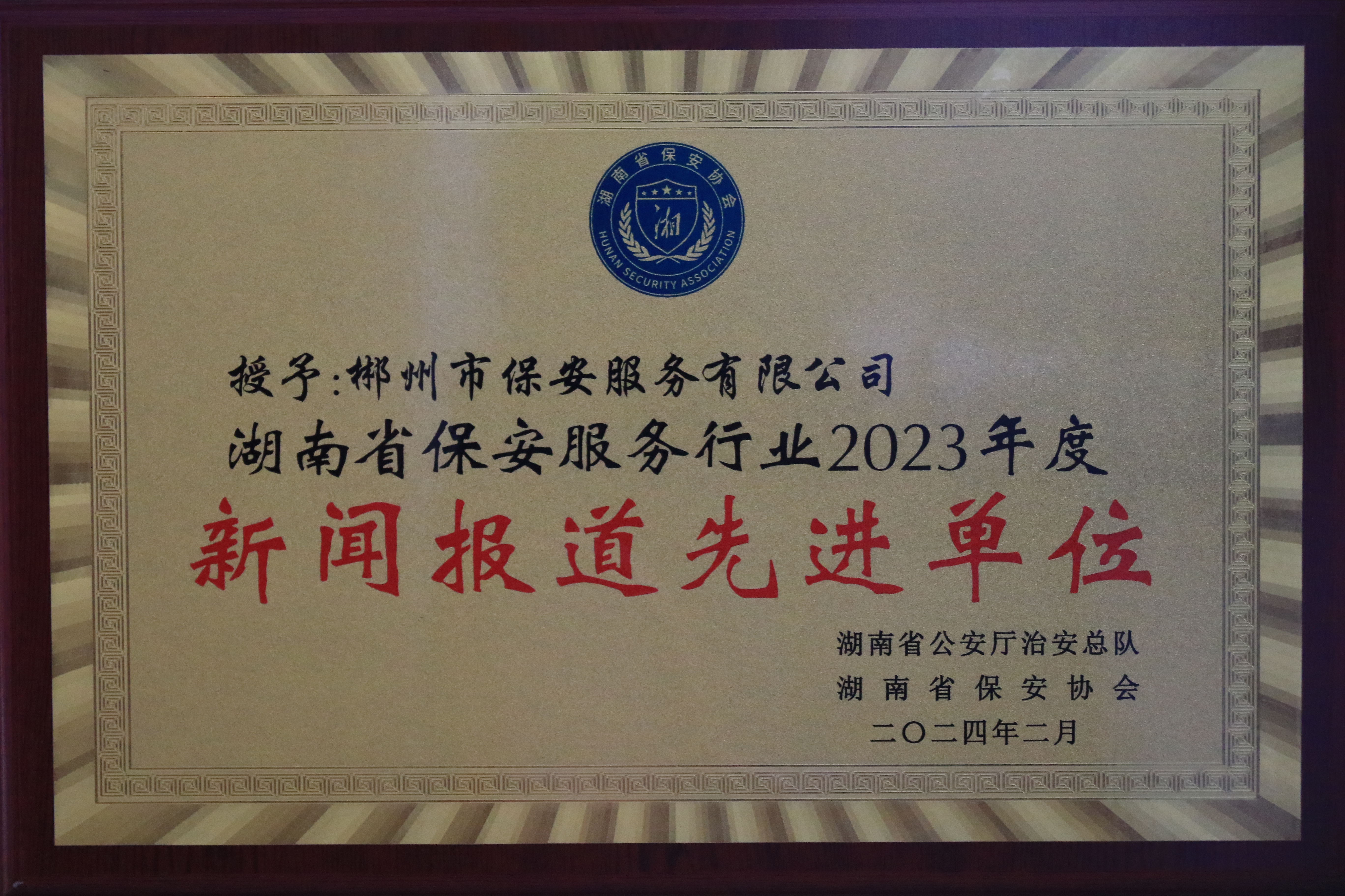 湖南省保安服务行业新闻报道先进单位