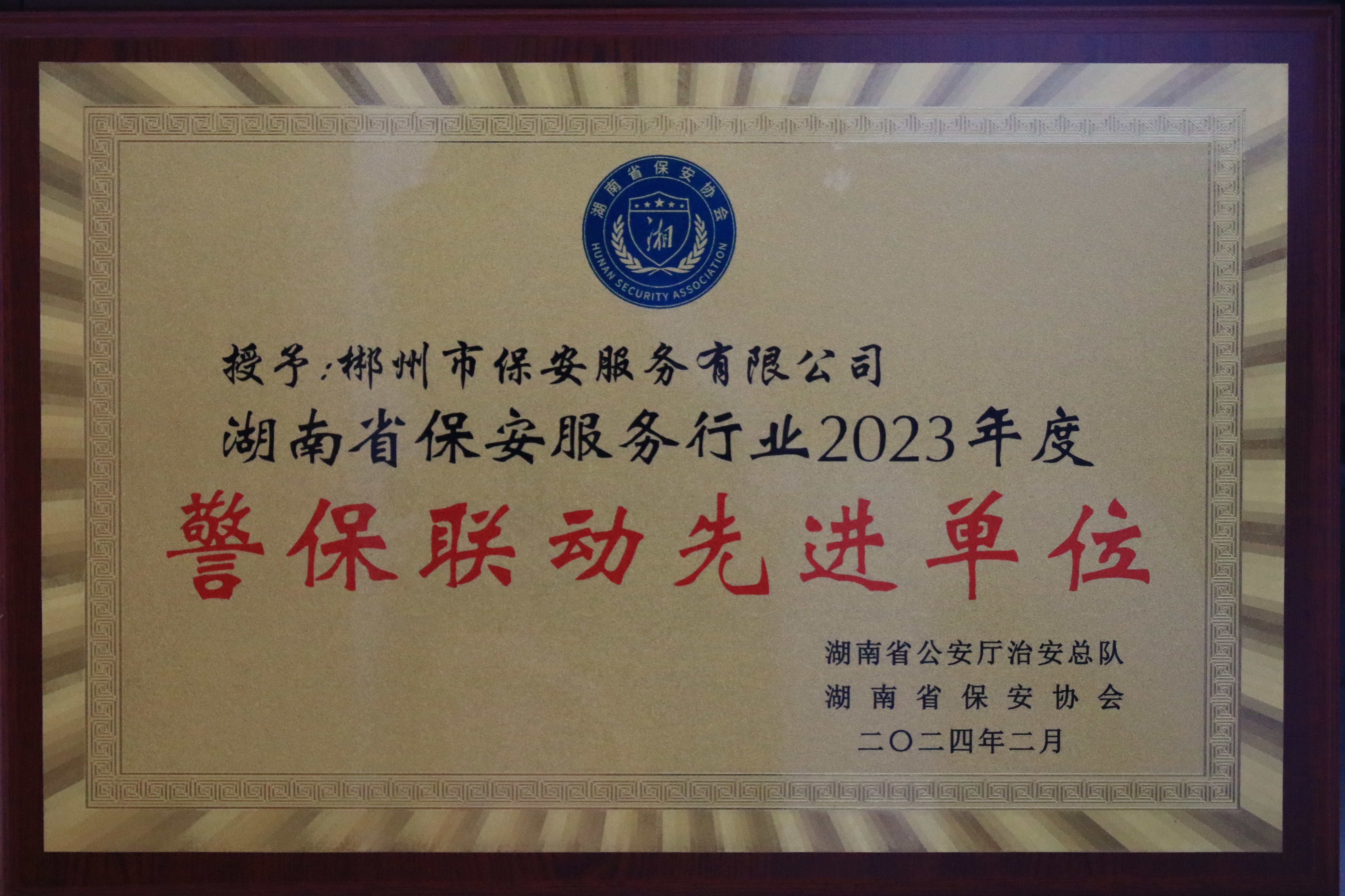 湖南省保安服务行业警保联动先进单位