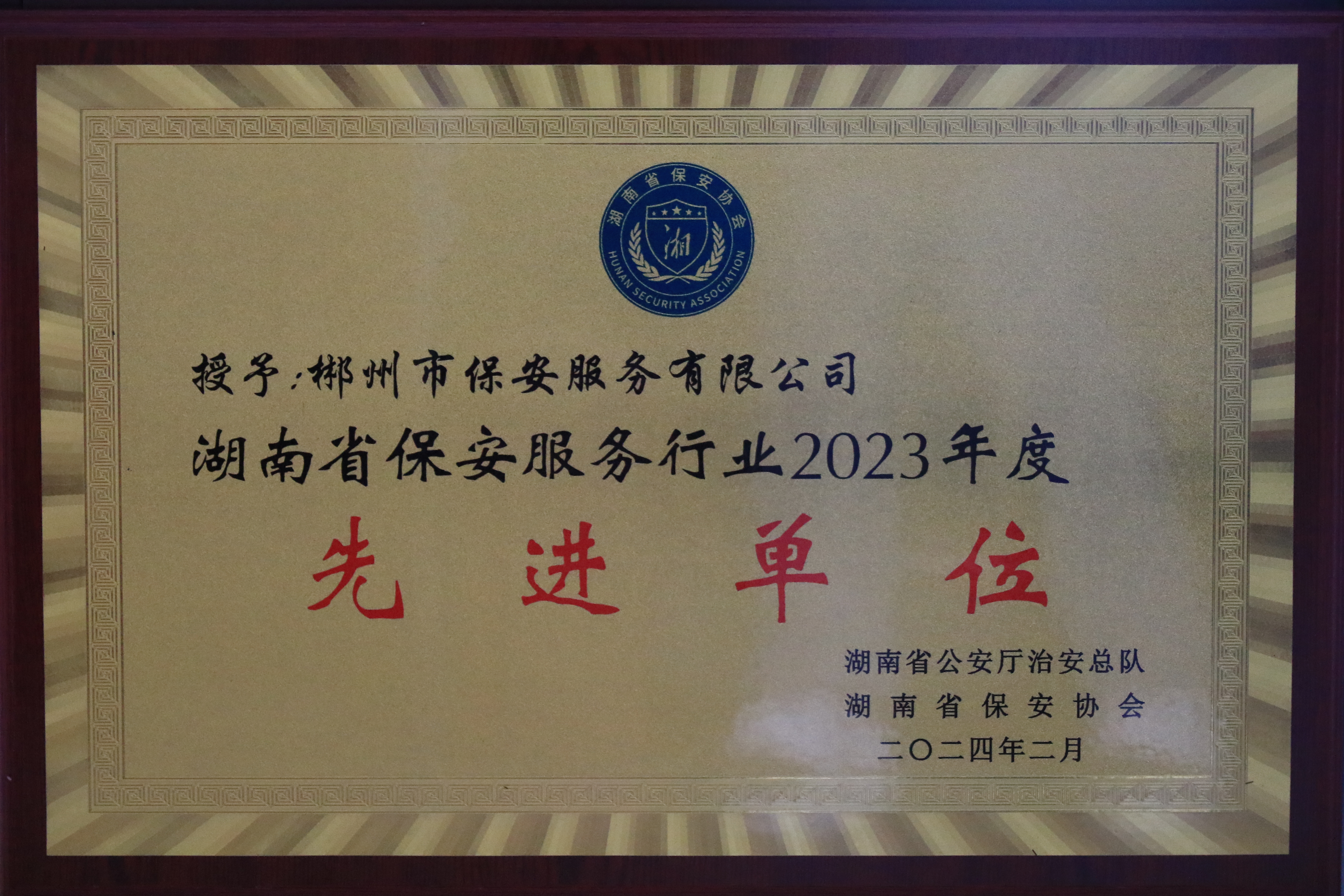 湖南省保安服务行业2023年度先进单位